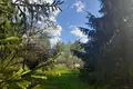 Land  Nikolskoe, Russia