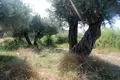 Земельные участки 1 комната  Aristotle Municipality, Греция