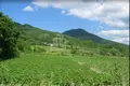 Atterrir 10 000 m² Tbilissi, Géorgie