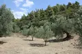 Atterrir 1 chambre  Neos Marmaras, Grèce