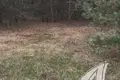 Land  Recycki sielski Saviet, Belarus