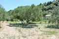 Land 1 room  Zakynthos Municipality, Greece