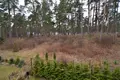 Wohnung 4 zimmer 220 m² Riga, Lettland