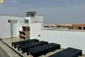 3 bedroom apartment  Torrevieja, Spain