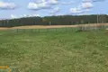 Maison 29 m² Nalibacki sielski Saviet, Bélarus