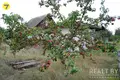 House 40 m² Damasycy, Belarus