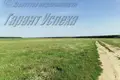 Haus 43 m² Matykalski sielski Saviet, Belarus