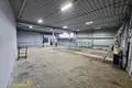 Коммерческое помещение 3 комнаты 222 м² в Минске, Беларусь
