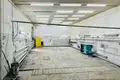 Manufacture 220 m² in Minsk, Belarus