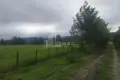 Atterrir 110 000 m² Tbilissi, Géorgie