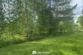 3 room house 57 m² Nieharelski sielski Saviet, Belarus