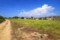 Atterrir 12 500 m² Kassandrino, Grèce