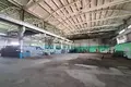 Manufacture 4 619 m² in Krychau, Belarus