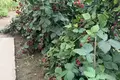 3 bedroom house 9 m² Chekhovsky District, Russia