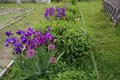 House 97 m² Miotcanski sielski Saviet, Belarus