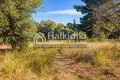 Parcelas 15 000 m² Nikiti, Grecia