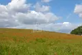Atterrir 450 m² Tbilissi, Géorgie