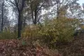 Parcelas  Odincovskij gorodskoj okrug, Rusia