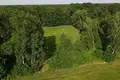 Land 5 000 m² Albertowsko, Poland