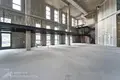 Commercial property 1 639 m² in Minsk, Belarus