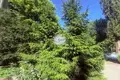 Apartamento 34 m² Kaliningrado, Rusia