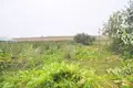 Дом 88 м² Усяжский сельский Совет, Беларусь