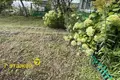 Haus 45 m² Papiarnianski sielski Saviet, Belarus