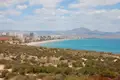 Attique 4 chambres 333 m² Alicante, Espagne