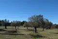 Parcelas  Kornos, Chipre