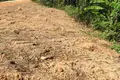 Parcelas  Thalang, Tailandia