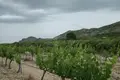 Villa de 6 chambres 294 m² Yecla, Espagne