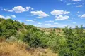 Land 10 934 m² Megali Panagia, Greece