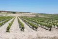 Propiedad comercial  en Pinoso, Španjolska