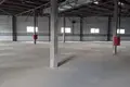 Magazyn 2 000 m² Dzerzhinsky, Rosja