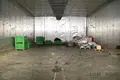 Propiedad comercial 3 214 m² en Sevnica, Eslovenia