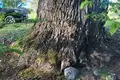 Działki  Łódki, Litwa
