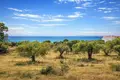 Atterrir 4 770 m² Neos Marmaras, Grèce
