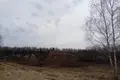 Grundstück  Akciabrski sielski Saviet, Belarus