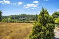 Atterrir 30 000 m² Kassandrino, Grèce