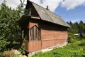 Haus 49 m² Piatryskauski sielski Saviet, Belarus