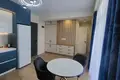1 bedroom rent in Saburtalo