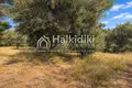 Parcelas 15 000 m² Nikiti, Grecia