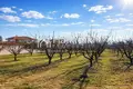 Parcelas 5 400 m² Nea Plagia, Grecia
