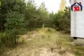 Maison  Kalodziscanski sielski Saviet, Bélarus