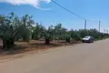 Grundstück 2 800 m² Nea Flogita, Griechenland