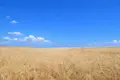 Land 24 000 m² Nea Triglia, Greece