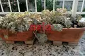2 room apartment 55 m² in Palio, Greece