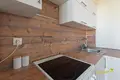 Apartment 31 m² Fanipal, Belarus