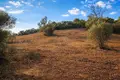 Land 4 483 m² Megali Panagia, Greece