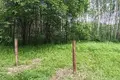 Land  Aliachnovicki sielski Saviet, Belarus